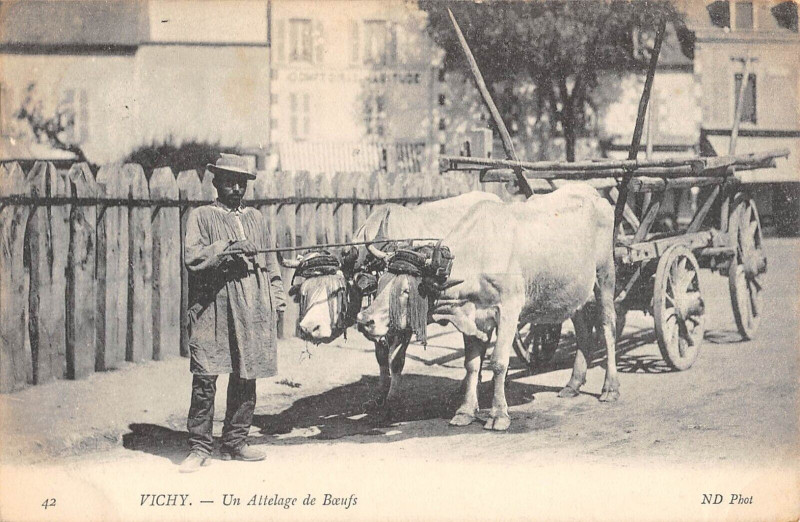 Carte postale ancienne Vichy Un Attelage De Boeufs - Agriculture à Vichy