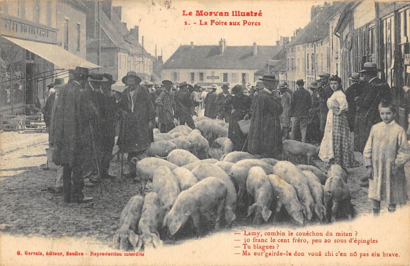 Carte postale ancienne Le Morvan Illustre La Foire Aux Porcs