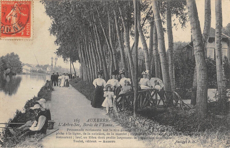 Carte postale ancienne Auxeree Bords D'Yonne L'Arbre Sec