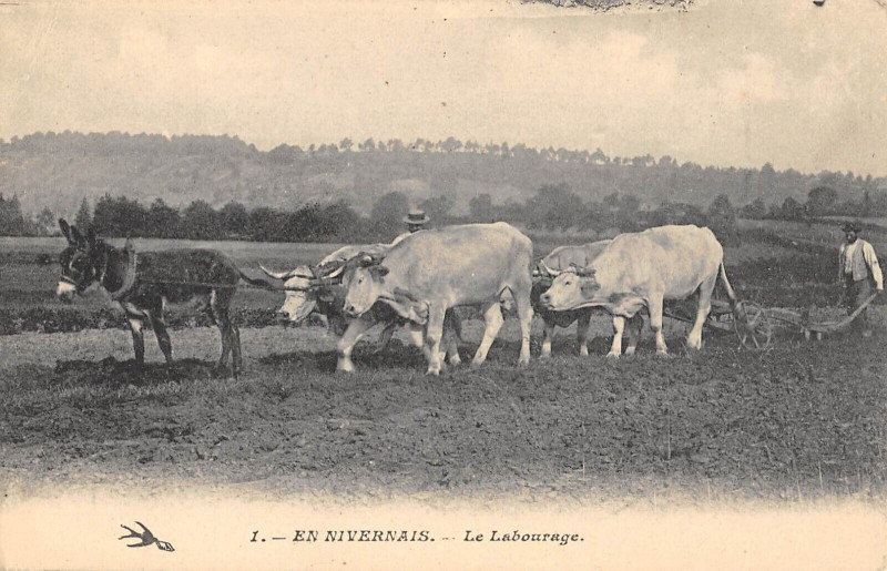 Carte postale ancienne En Nivernais Le Labourage - Agriculture