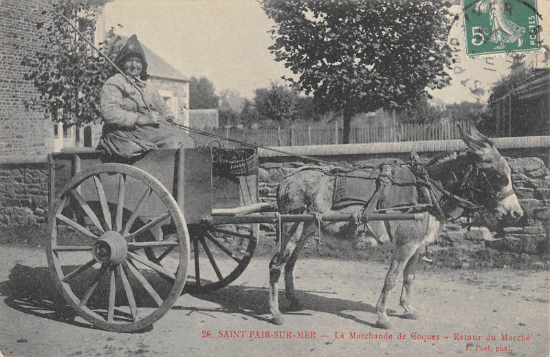 Carte postale ancienne Saint Pair Sur Mer La Marchande De Coques Retour Du Marche à Saint-Pair-sur-Mer