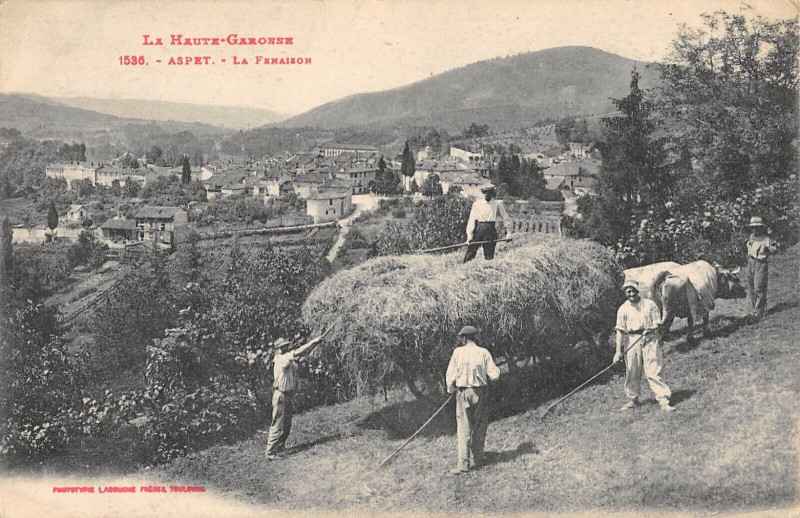 Carte postale ancienne Aspet La Fenaison - Agriculture à Aspet