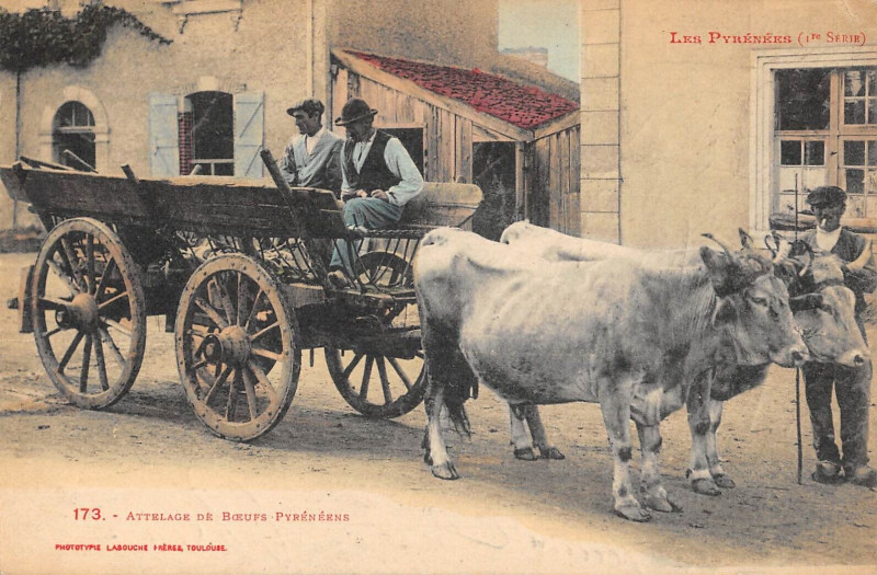 Carte postale ancienne Attelage De Boeufs Pyreneens - Agriculture