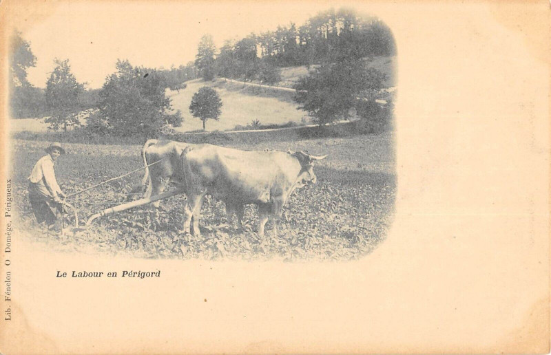Carte postale ancienne Le Labour En Perigord / Agriculture