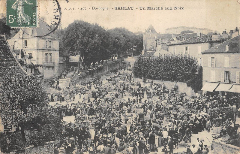 Carte postale ancienne Sarlat Un Marche Aux Noix