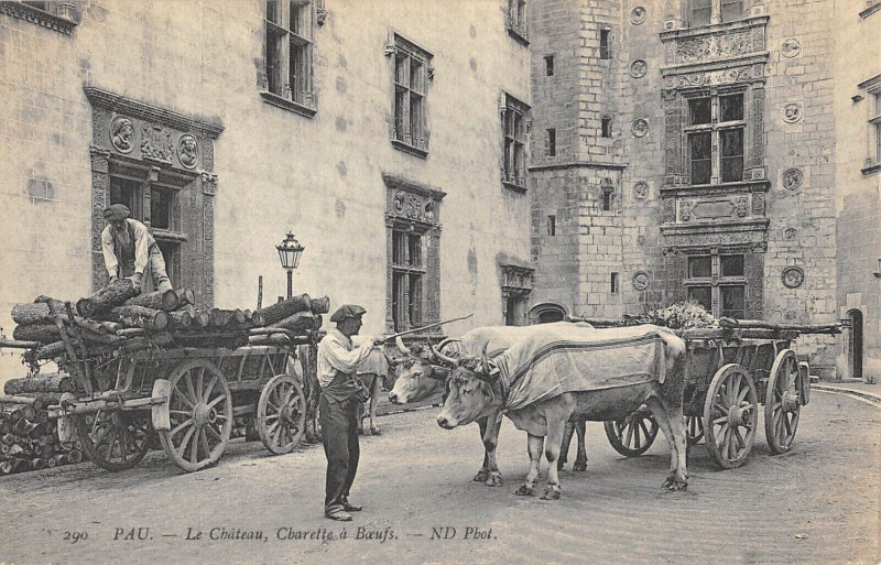 Carte postale ancienne Pau Charette A Boeufs - Agriculture à Arette