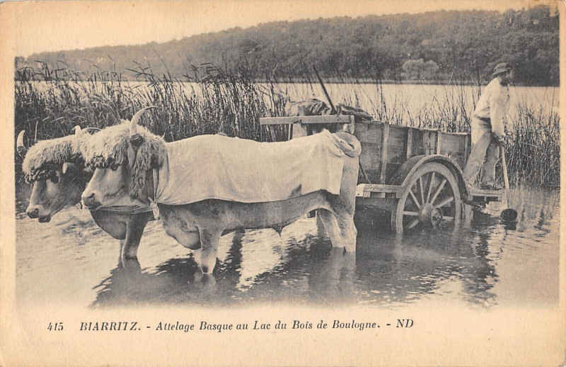 Carte postale ancienne Biarritz Attelage Basque Au Lac Du Bois De Boulogne / Agriculture à Biarritz