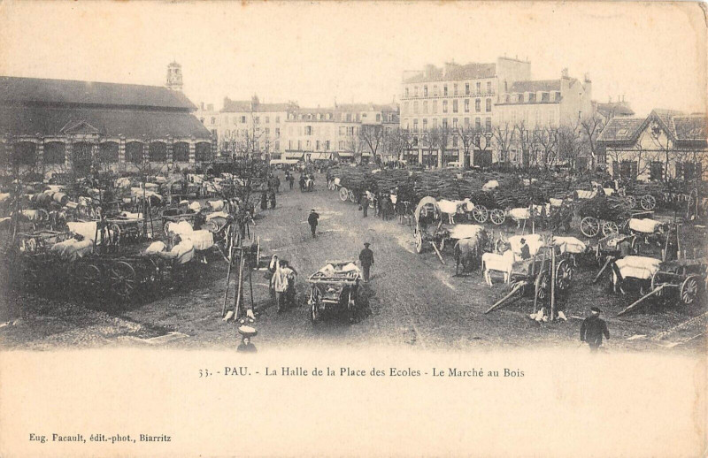 Carte postale ancienne Pau La Halle De La Place Des Ecoles Le Marche Au Bois à Pau