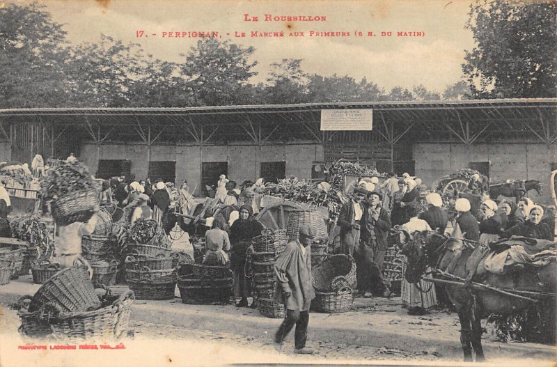 Carte postale ancienne Perpignan Le Marche Aux Primeurs 6h Du Matin à Perpignan