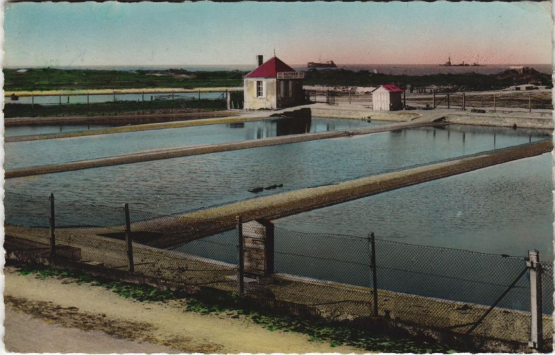 Carte postale ancienne Courseulles-sur-Mer Le Parc aux Huitres à Courseulles-sur-Mer