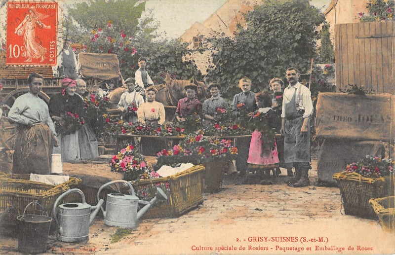 Carte postale ancienne Grisy Suisnes Culture Speciale De Rosiers Paquetage Et Emballage De Roses à Grisy-Suisnes