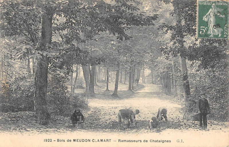 Carte postale ancienne Bois De Meudon Clamart Ramasseurs De Chataignes à Clamart