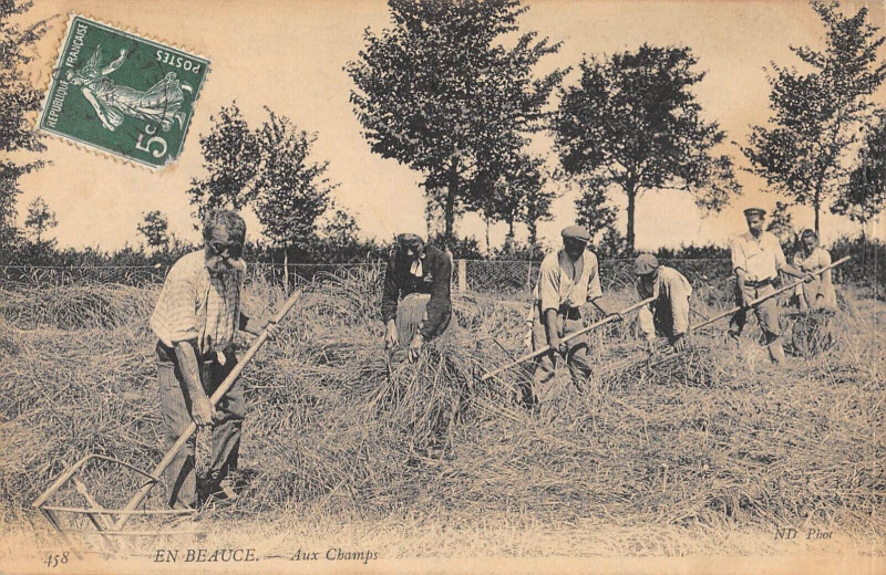 Carte postale ancienne En Beauce Aux Champs - Agriculture