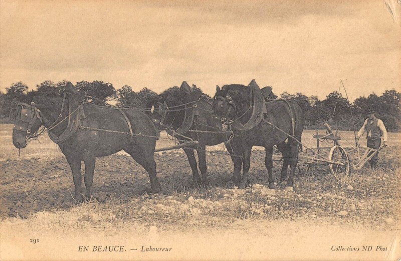 Carte postale ancienne En Beauce Laboureur / Agriculture à Bou