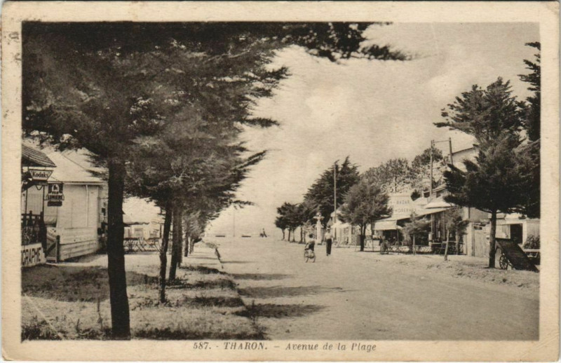 Carte postale ancienne Tharon Avenue de la Plage