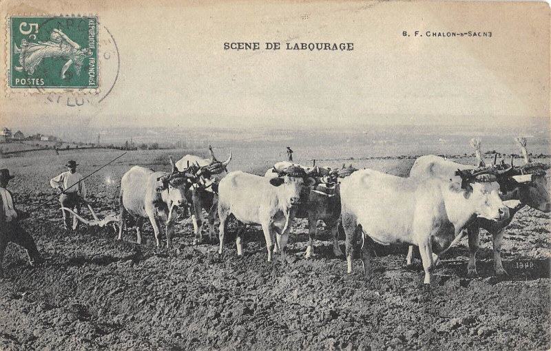 Carte postale ancienne Scene De LABOURAGE/ Agriculture