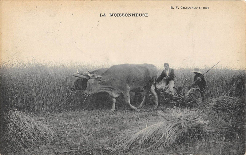 Carte postale ancienne La Moissonneuse - Agriculture