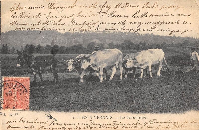 Carte postale ancienne En Nivernais Le Labourage - Agriculture