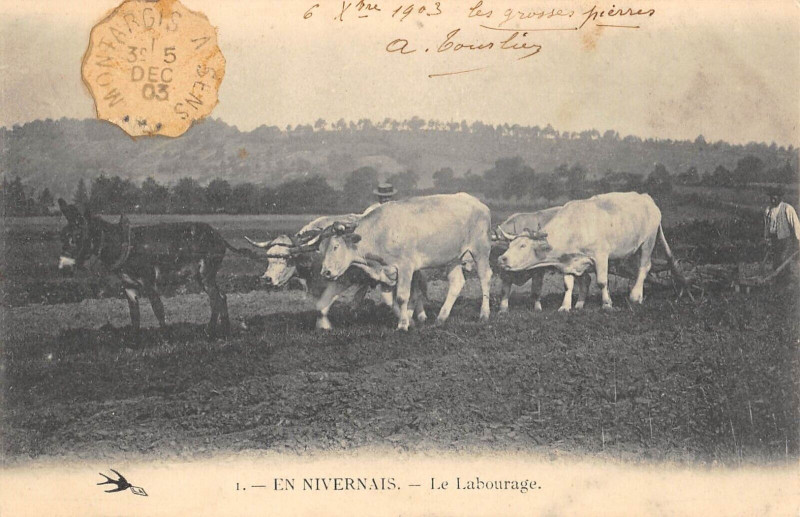 Carte postale ancienne En Nivernais Le Labourage - Agriculture