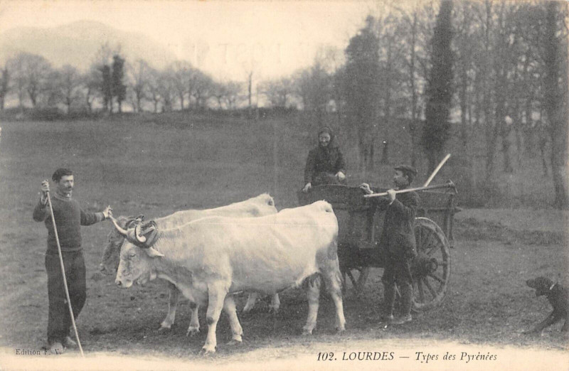 Carte postale ancienne Lourdes Types Des Pyrenees  - Agriculture à Lourdes