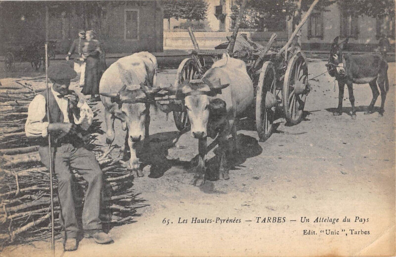 Carte postale ancienne Tarbes Un Attelage Du Pays  - Agriculture à Tarbes