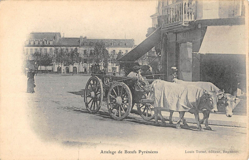 Carte postale ancienne Un Attelage De Boeufs Pyreneens  - Agriculture à Ens
