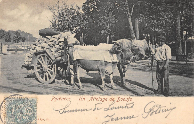 Carte postale ancienne Pyrenees Un Attelage De Boeufs - Agriculture