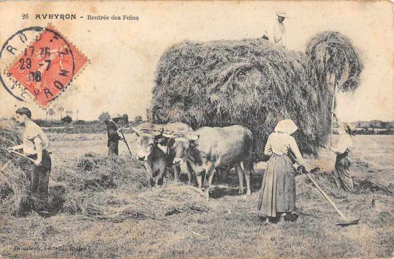 Carte postale ancienne Aveyron Rentree Des Foins - Agriculture