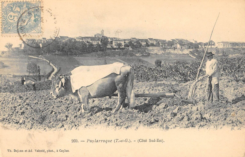 Carte postale ancienne 79 Puylarroque Cote Sud Est