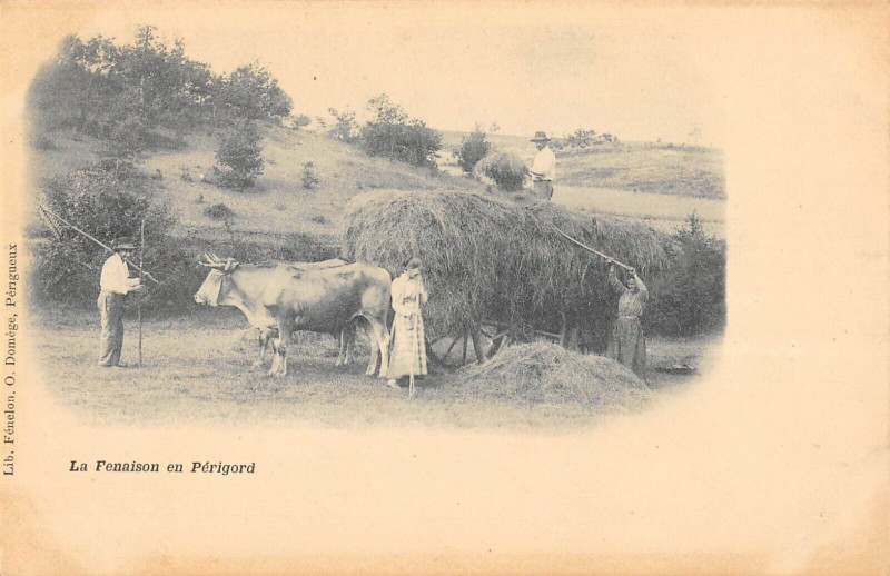 Carte postale ancienne La Fenaison En Perigord - Agriculture