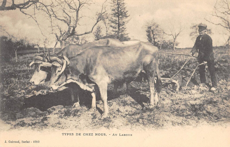 Carte postale ancienne Types De Chez Nous Au Labour - Agriculture