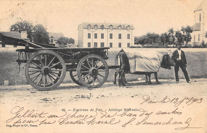 Carte postale ancienne Environs De Pau Attelage Bearnais - Agriculture à Pau