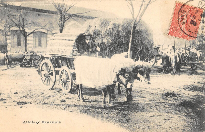 Carte postale ancienne Attelage Bearnais - Agriculture