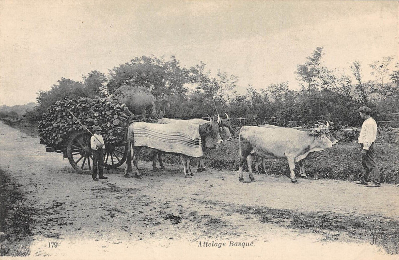 Carte postale ancienne Attelage Basque