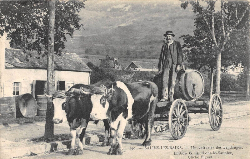 Carte postale ancienne Salins Les Bains Un Voiturier Des Vendanges à Salins-les-Bains