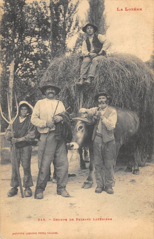 Carte postale ancienne La Lozere Groupe De Paysans Lozeriens / Agriculture