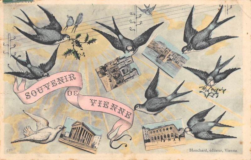 Carte postale ancienne Souvenir De Vienne à Vienne