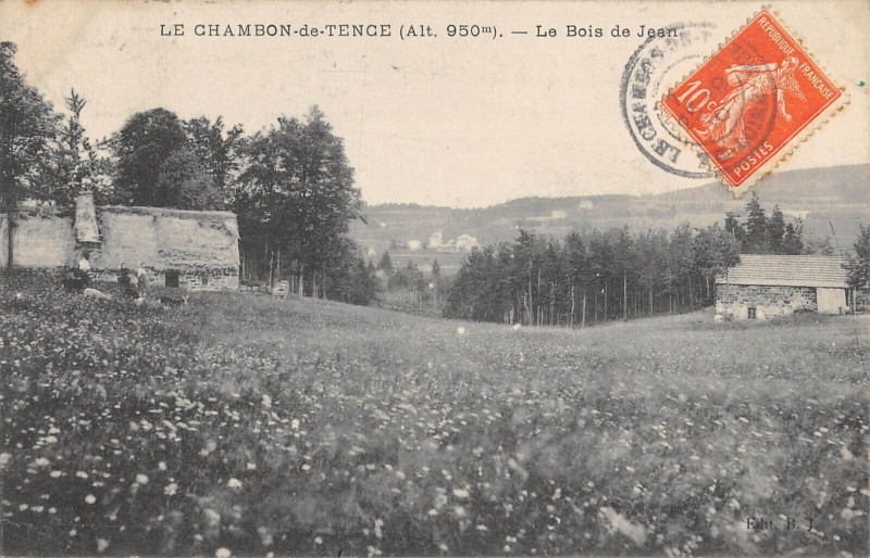 Carte postale ancienne Le Chambon De Tence Le Bois De Jean à Tence