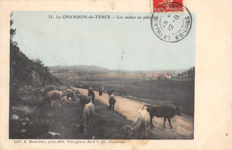 Carte postale ancienne Le Chambon De Tence Les Vaches Au Paturage à Tence