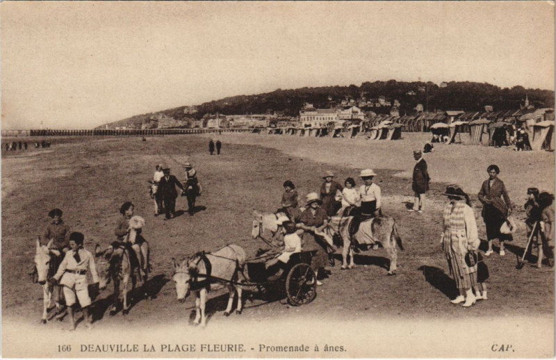 Carte postale ancienne Deauville Promenade a Anes à Deauville