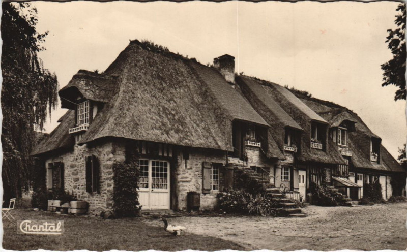 Carte postale ancienne Ferme Normande