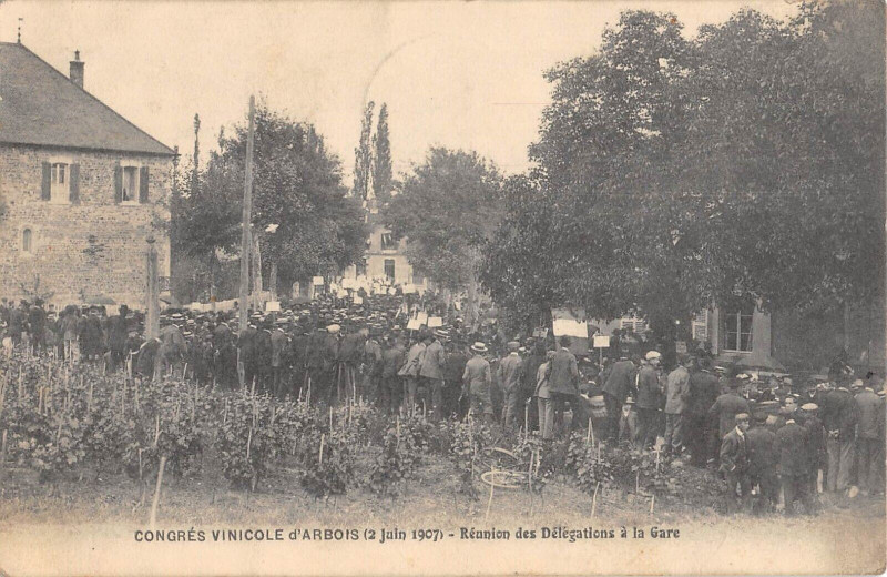 Carte postale ancienne Congres Vinicole D'Arbois 1907 Reunion Des Delegations A La Gare à Arbois