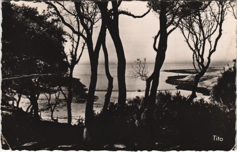 Carte postale ancienne Vaux-sur-Mer La Conche du Conseil