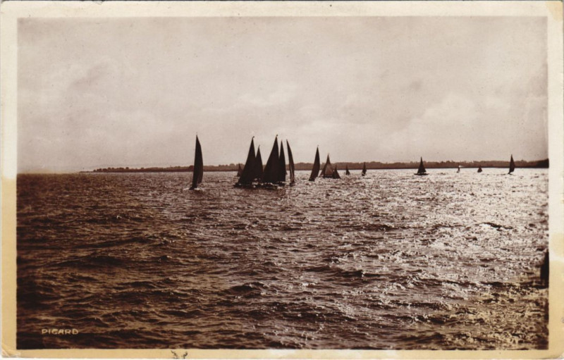 Carte postale ancienne Riva-Bella Regates Les Chats