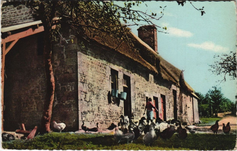 Carte postale ancienne Petite Ferme en Normandie