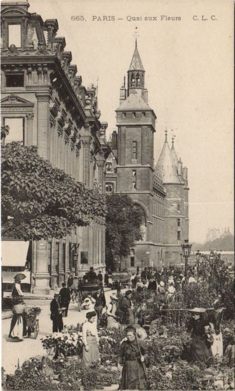 Carte postale ancienne Paris 4e Quai aux Fleurs à Paris 4e