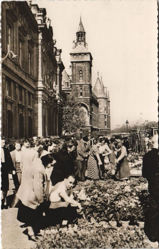 Carte postale ancienne Paris 4e Marche aux Fleurs à Paris 4e