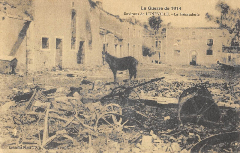 Carte postale ancienne Environs De Luneville La Faisanderie