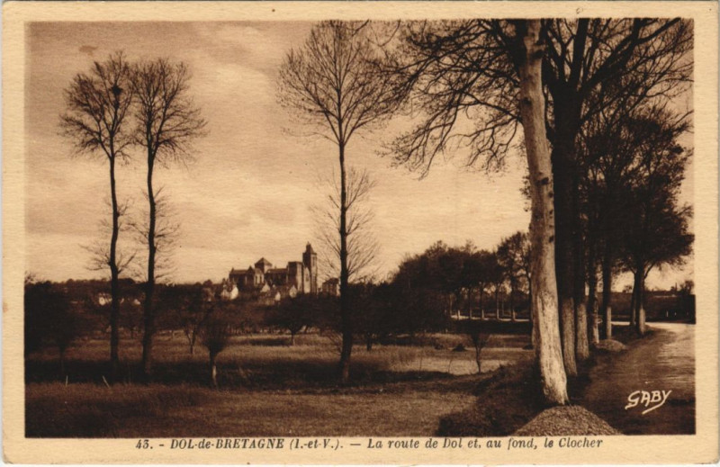 Carte postale ancienne Dol-de-Bretagne La Route de Dol et au Fond le Clocher à Dol-de-Bretagne