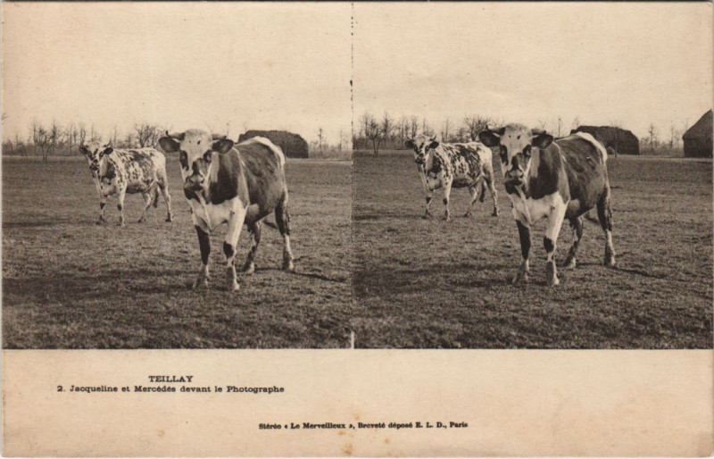 Carte postale ancienne Teillay Jacqueline et Mercedes Devant le Photographe - Stereo Pc. à Teillay